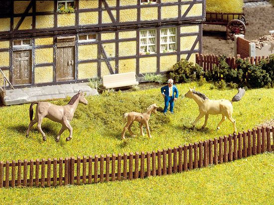 Picture of Garden Fence