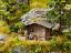Picture of Forest Lodge