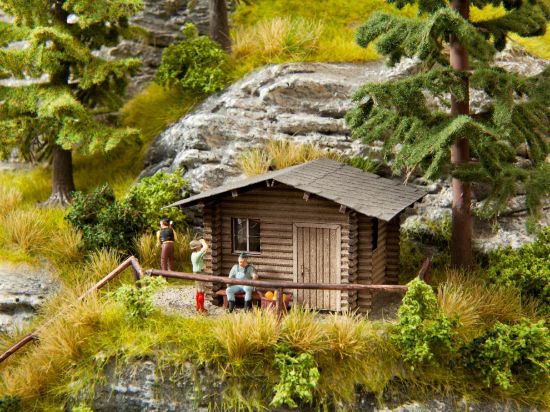 Picture of Forest Lodge