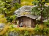 Picture of Forest Lodge