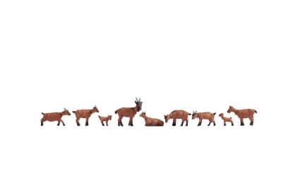 Picture of Goats