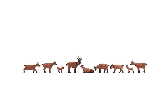 Picture of Goats