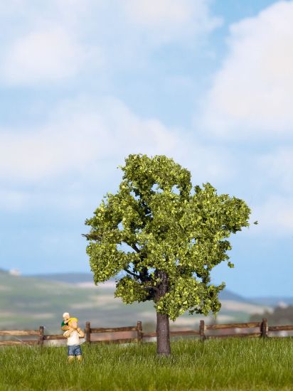 Picture of Fruit Tree