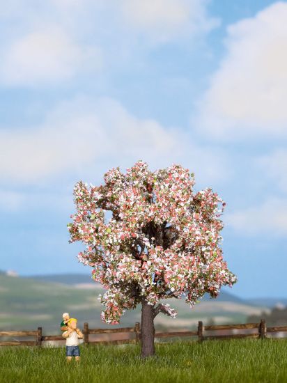 Picture of Fruit Tree