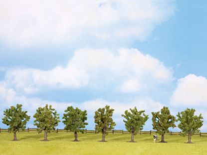 Picture of Fruit Trees