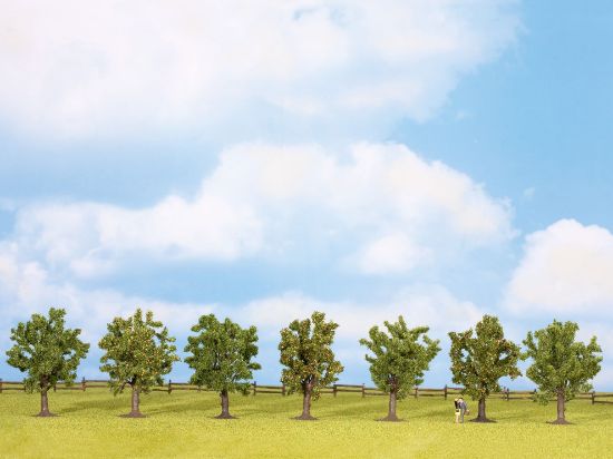 Picture of Fruit Trees