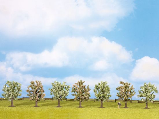 Picture of Fruit Trees