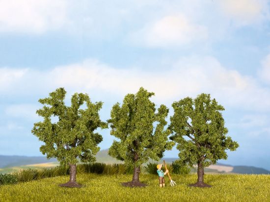 Picture of Fruit Trees
