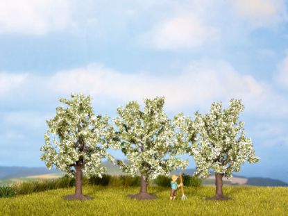 Picture of Fruit Trees