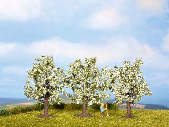 Picture of Fruit Trees