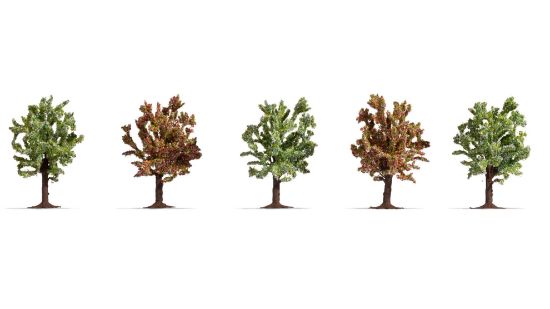 Picture of Fruit Trees, Blossoming