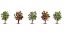 Picture of Fruit Trees, Blossoming