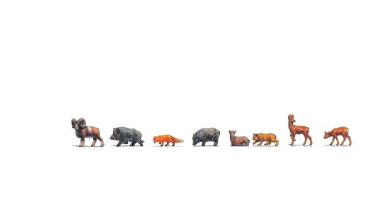 Picture of Forest Animals