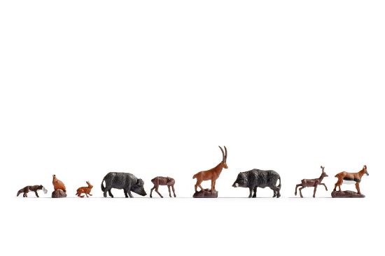 Picture of Forest Animals