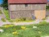 Picture of Grass Tufts XL