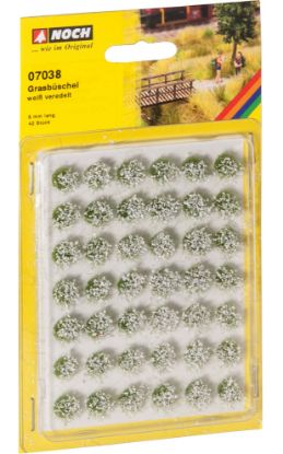 Picture of Grass Tufts "blooming", white