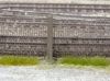 Picture of Grass Strips "Summer"