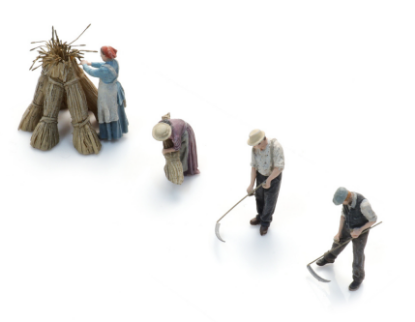 Picture of Wheat harvest with scythe