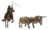 Picture of Cowboy lassoing Longhorns