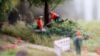 Picture of Sound Scene 2.0 ‘Felling Trees’