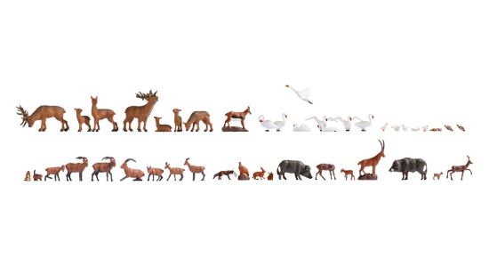 Picture of Mega Economy Set ‘Wild Animals’