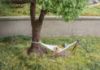 Picture of micro-motion Tree with Hammock