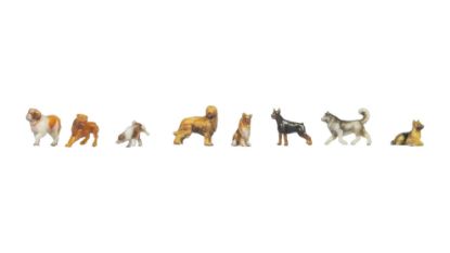 Picture of Dogs