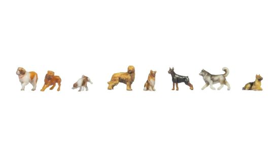 Picture of Dogs