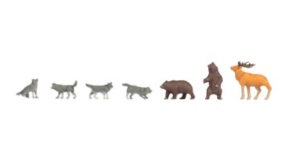Picture of Bears and Wolves
